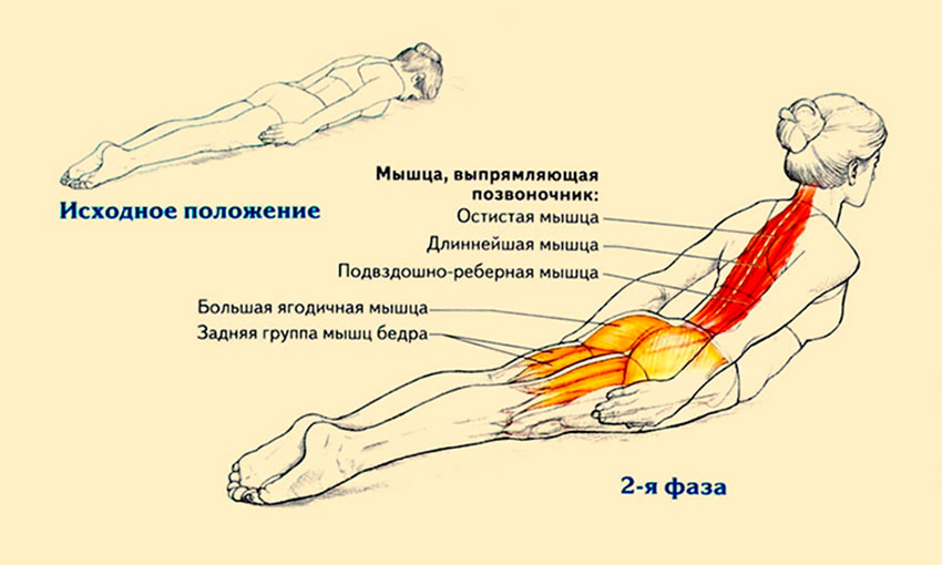 Упражнение для королевской осанки